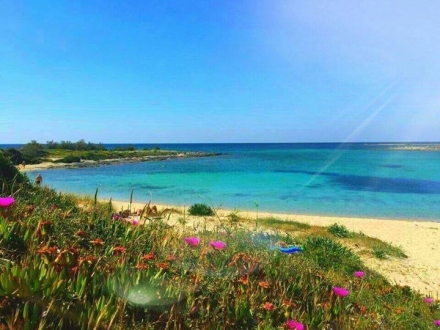 Benvenuti a Copertino - Il Carrubo Del Salento